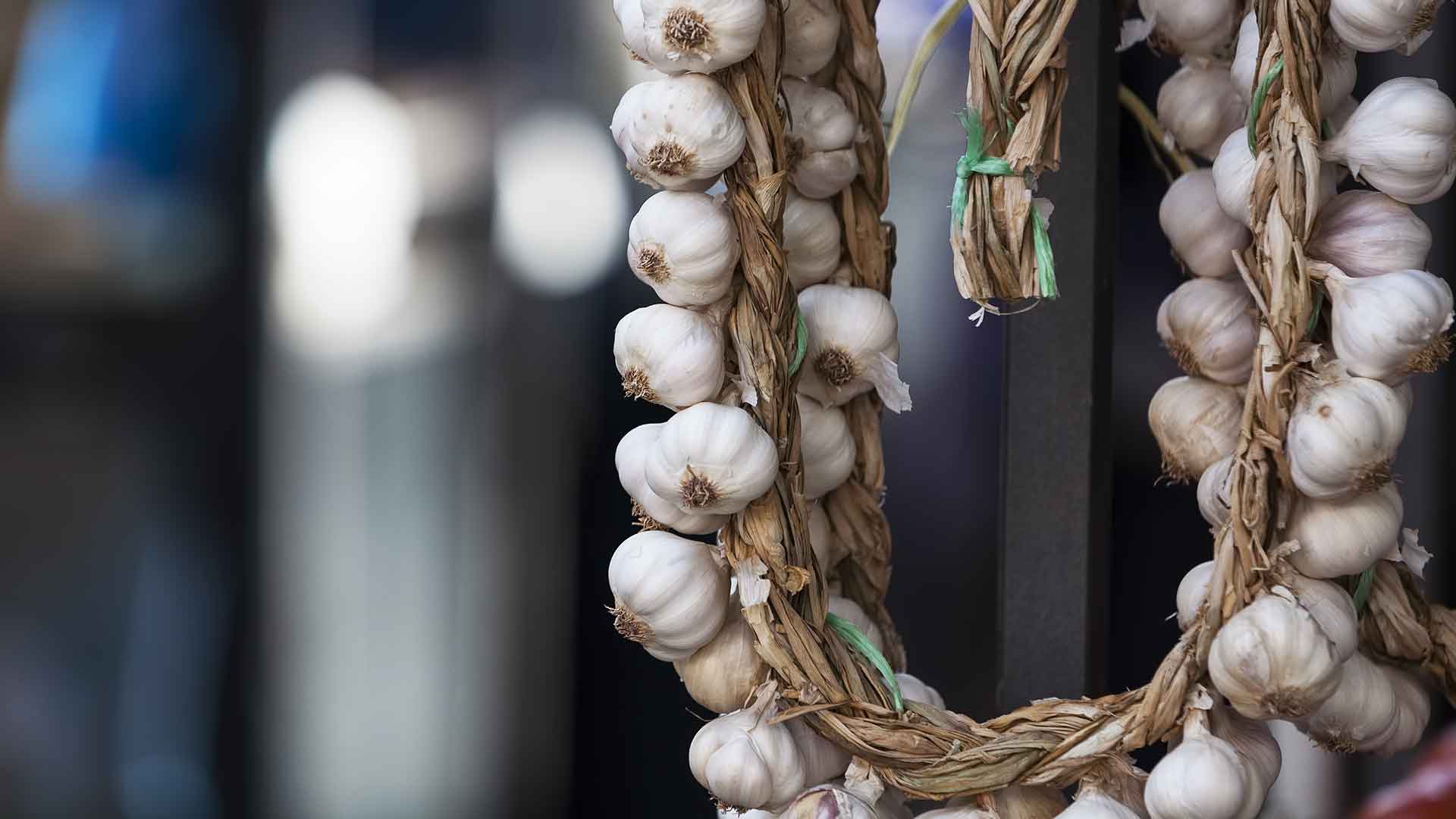 National Garlic Day Quiz