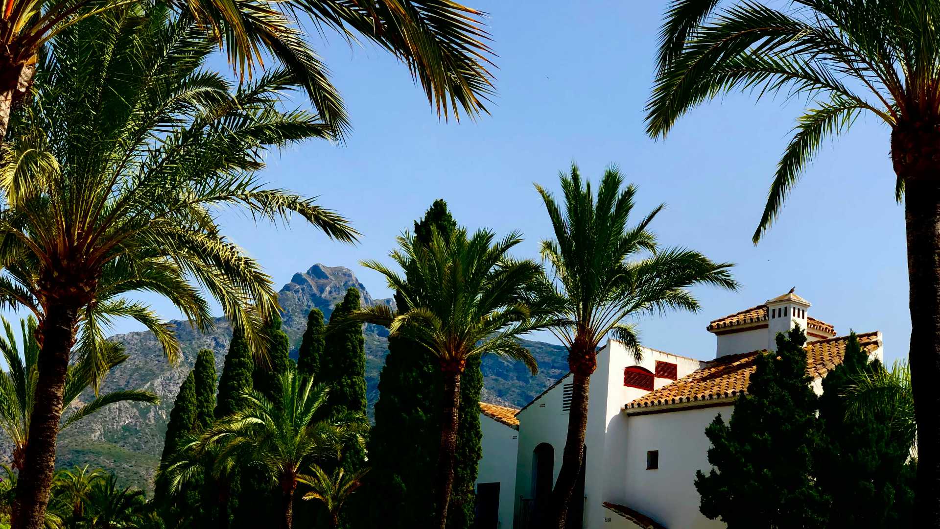 The Mysterious Magic of Marbella