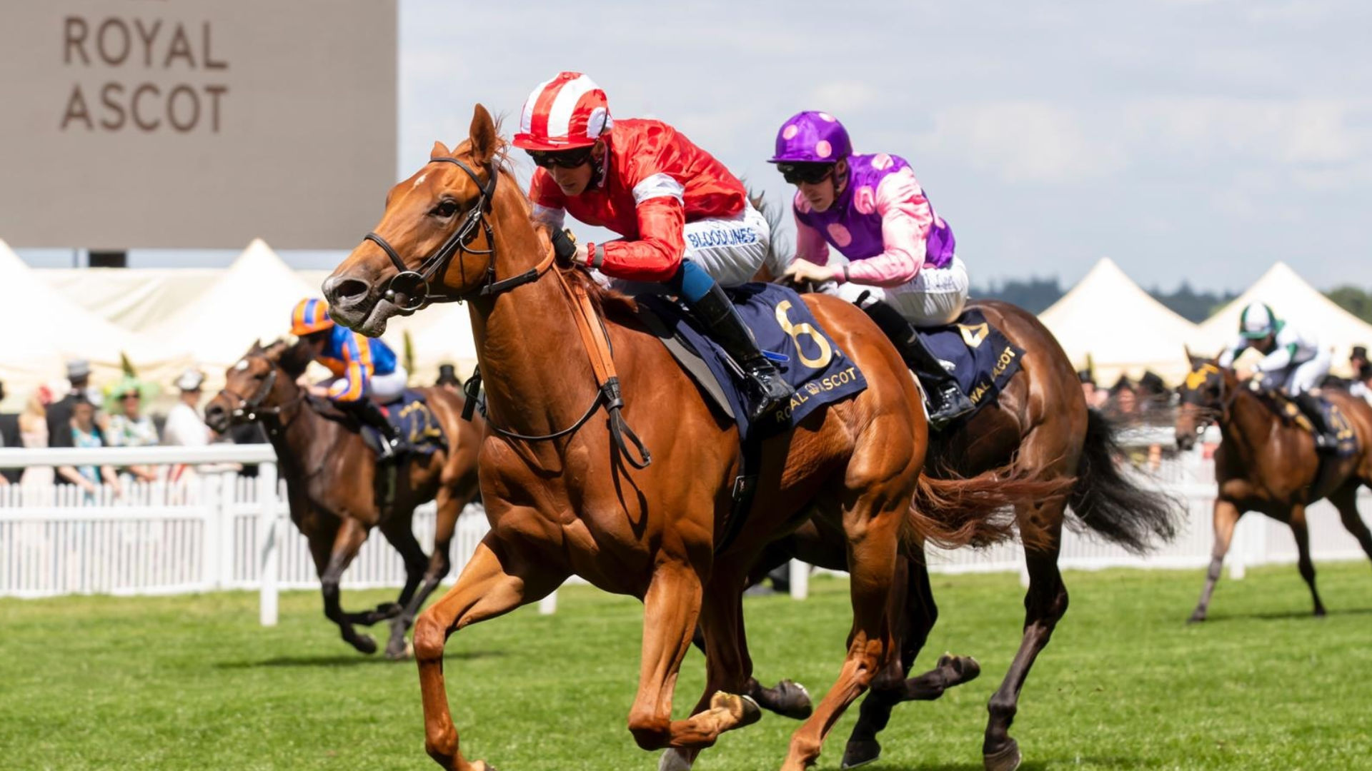 Festive Finale at Royal Ascot