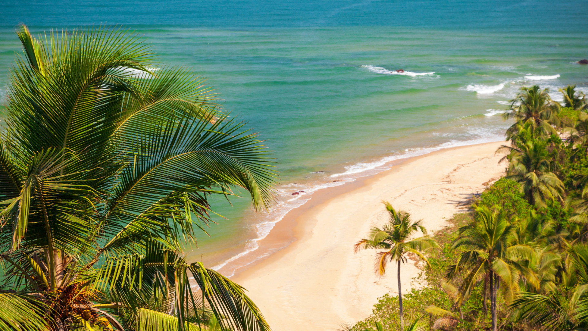 Now is the Time to Add Goa to Your List of Extraordinary Destinations