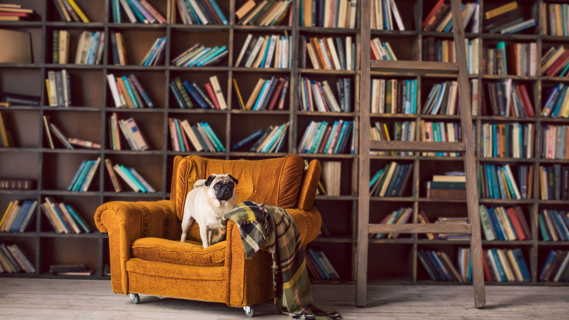 Top Tips for a Stylish Book Display