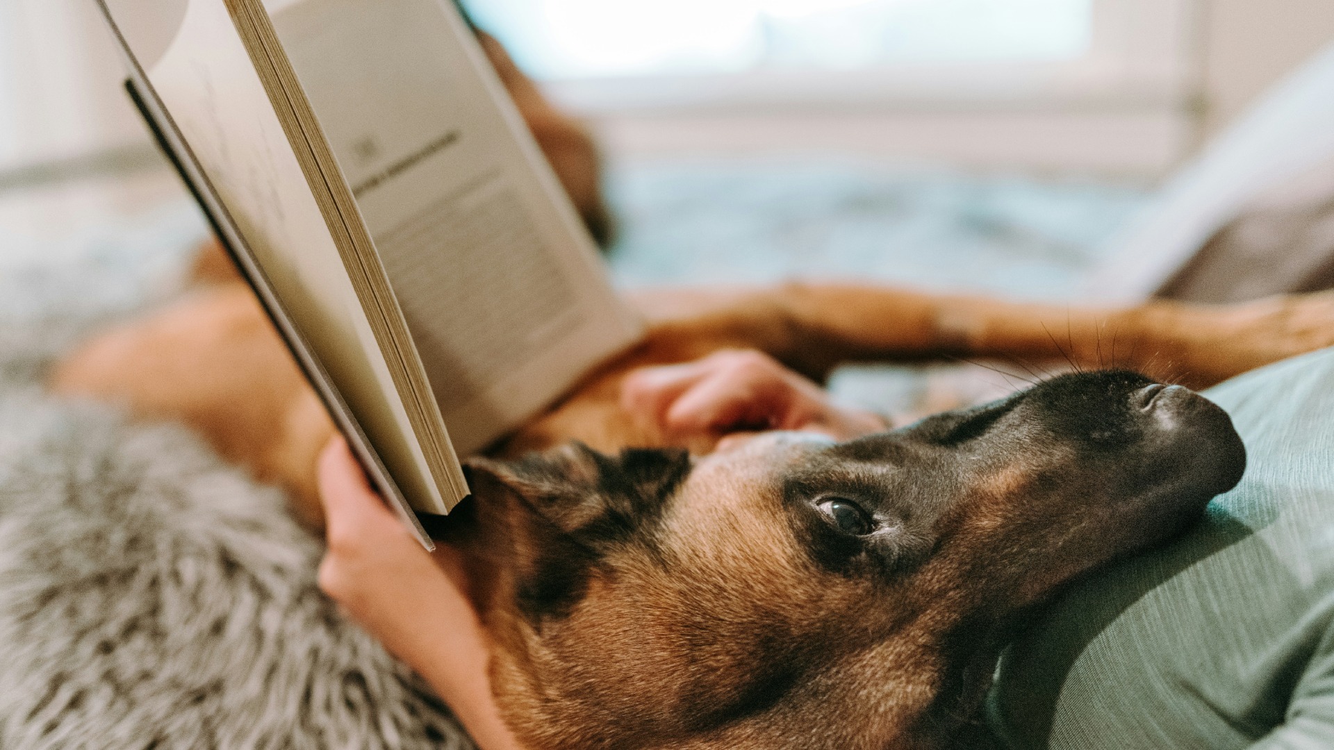 9 Tips For Achieving Your Reading Goals