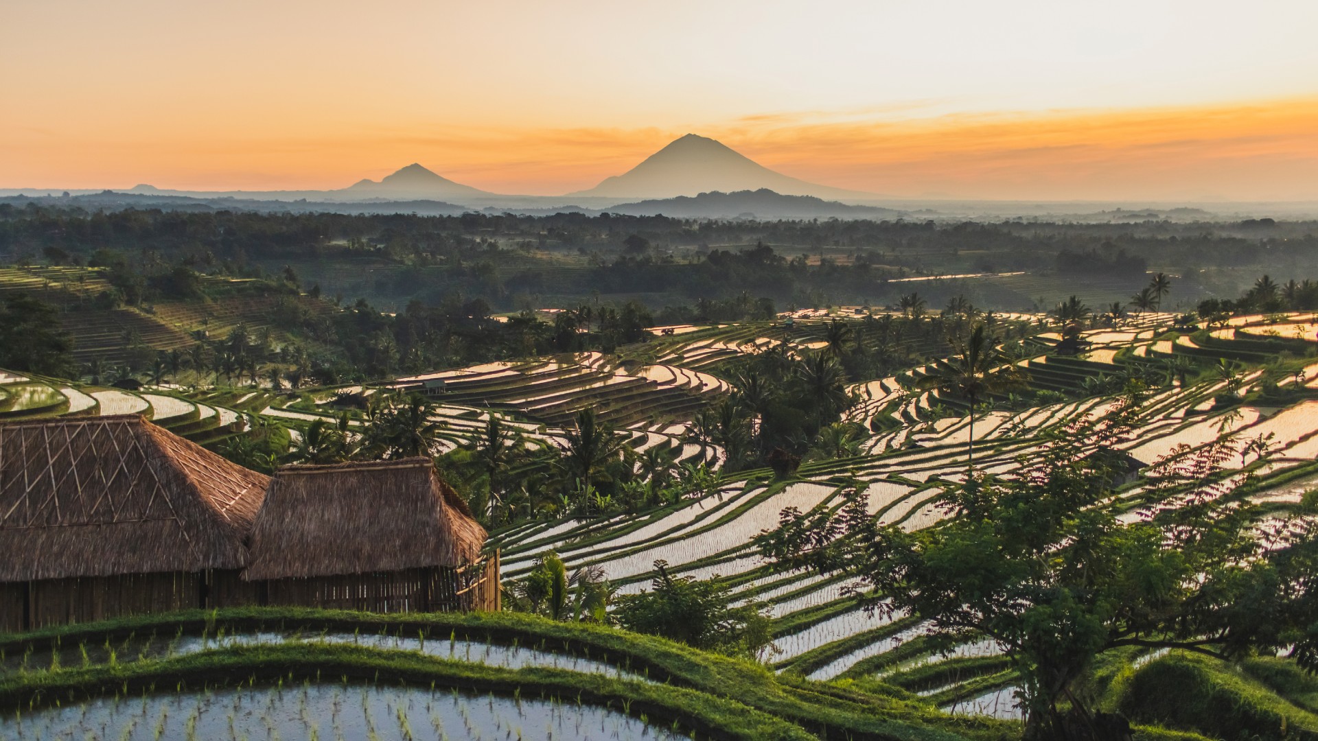 Vineyards, Volcanoes & Voyages