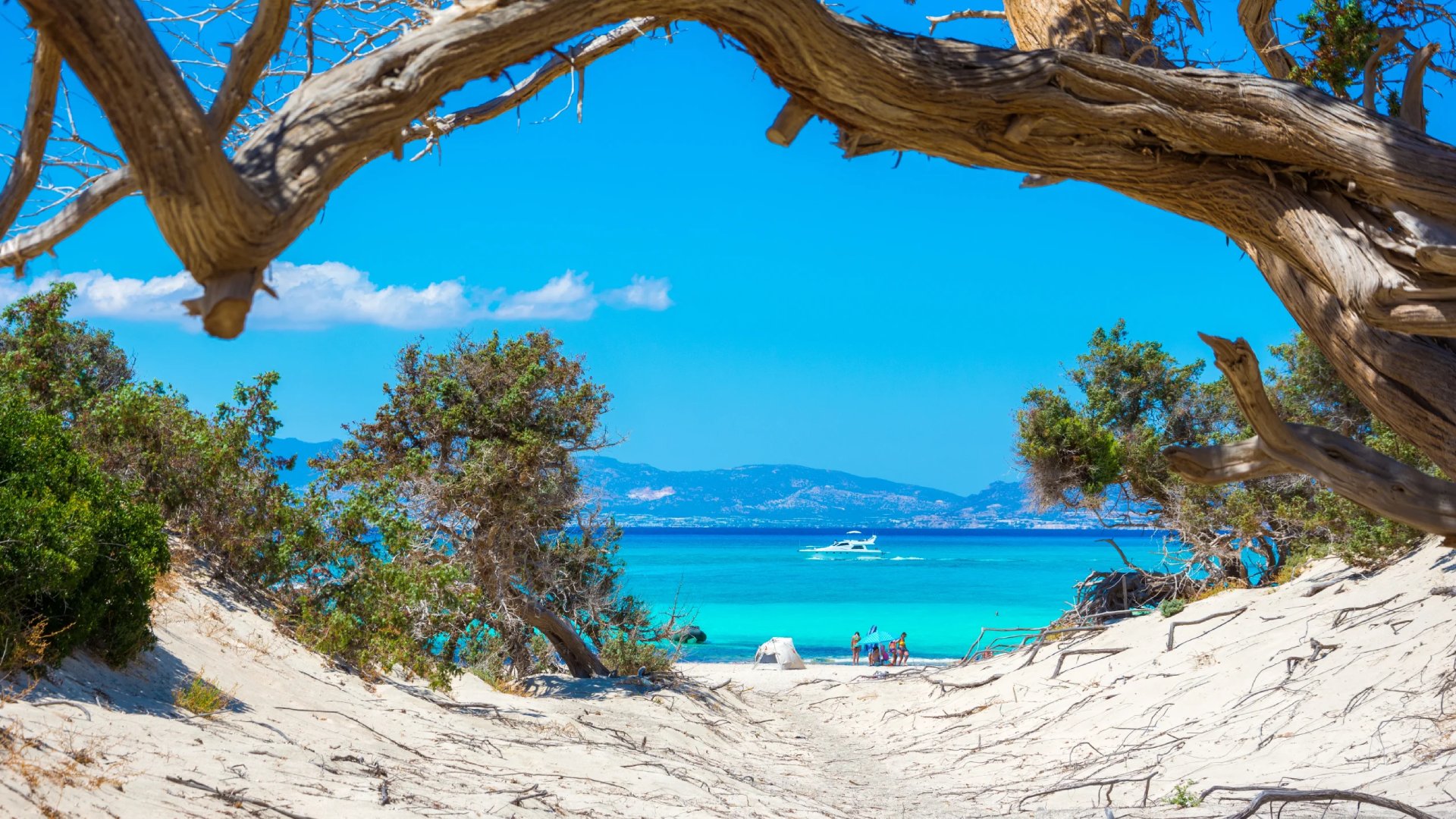 In other News: Limited Last-Minute Destinations