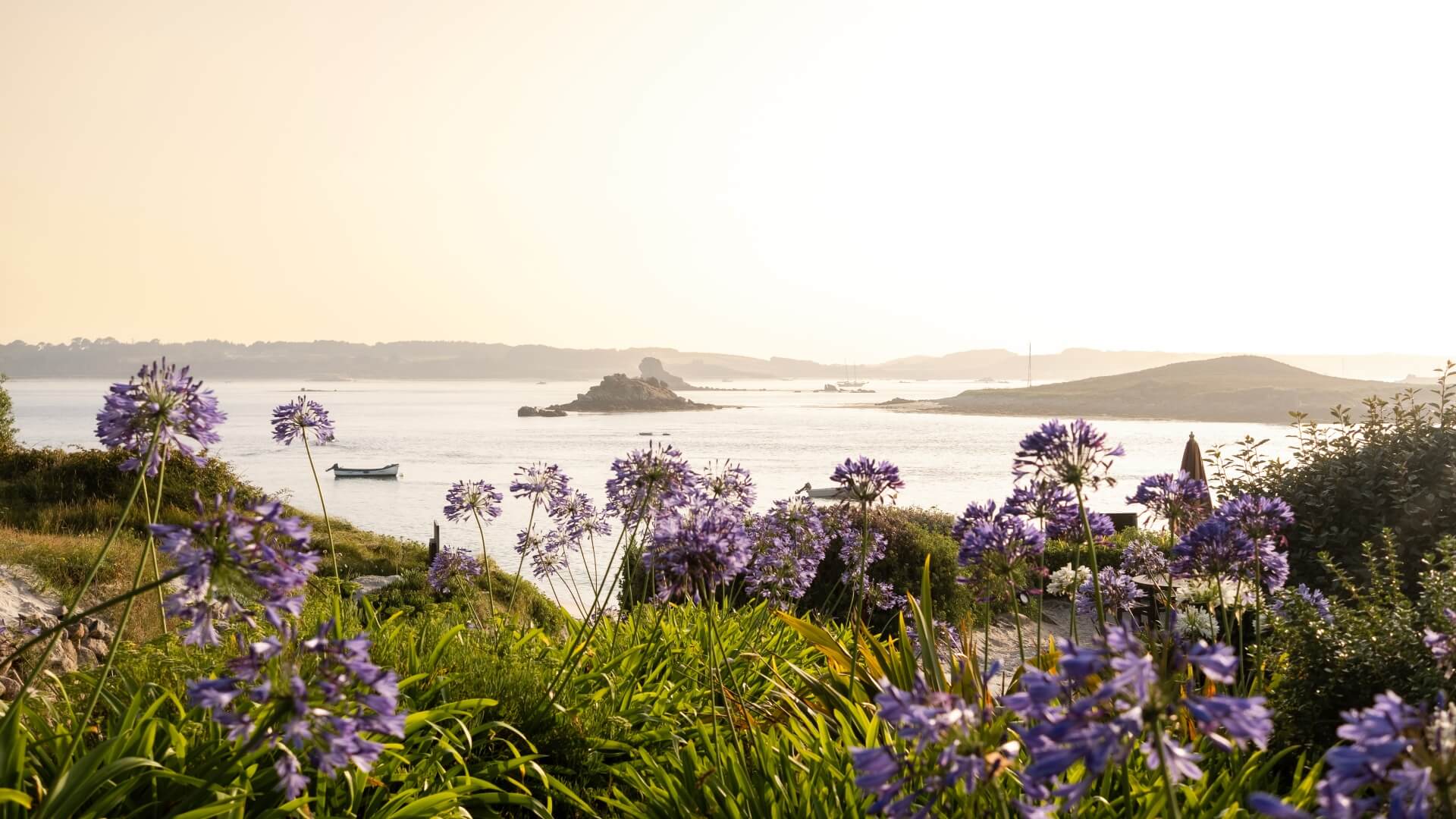 Karma St. Martin’s Wins Visit England Rose Award 2025
