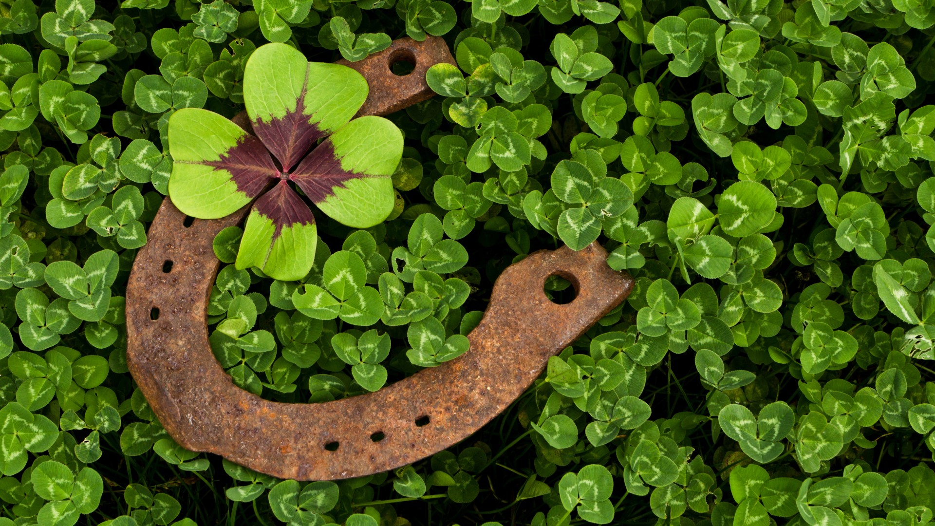Drive to Survive: Superstitions on the Road