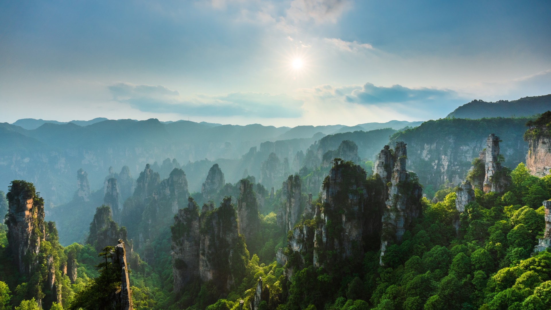 Movies in the Real World