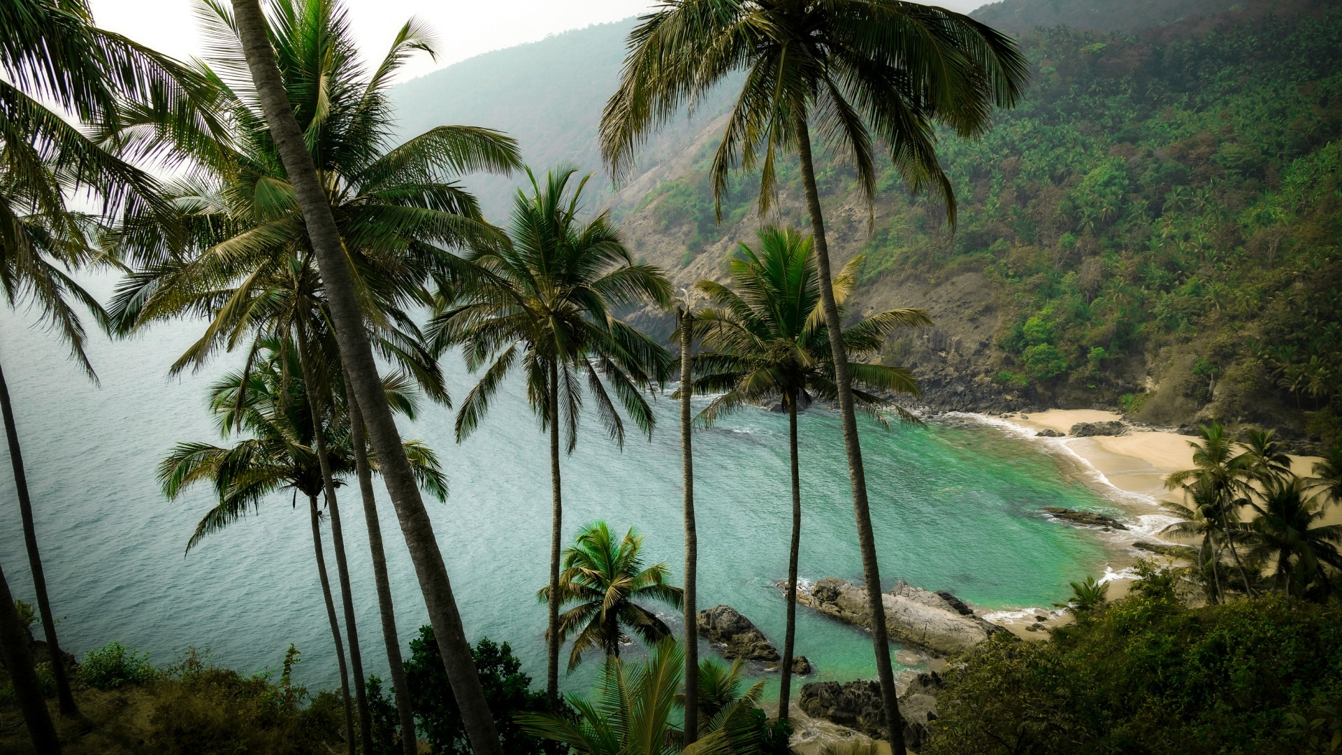 Goa Time! Sun, Festivals & Karma Magic