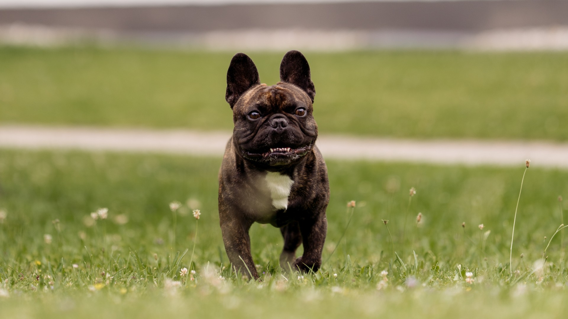 It’s DJ’s World – We’re just living in it!