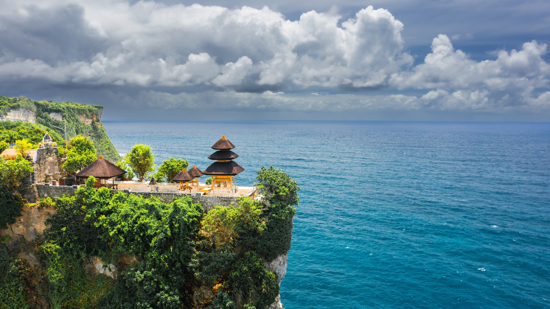 Island, Mountain & Jungle Specials!