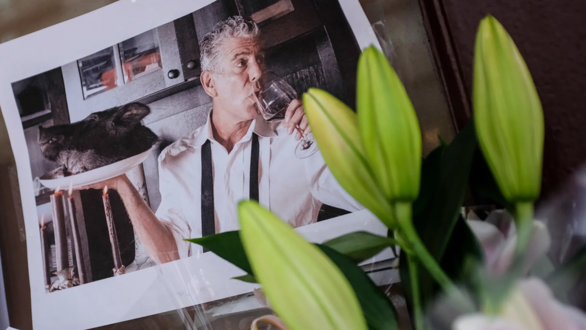 Top Cuisine, Cellars & Coasts