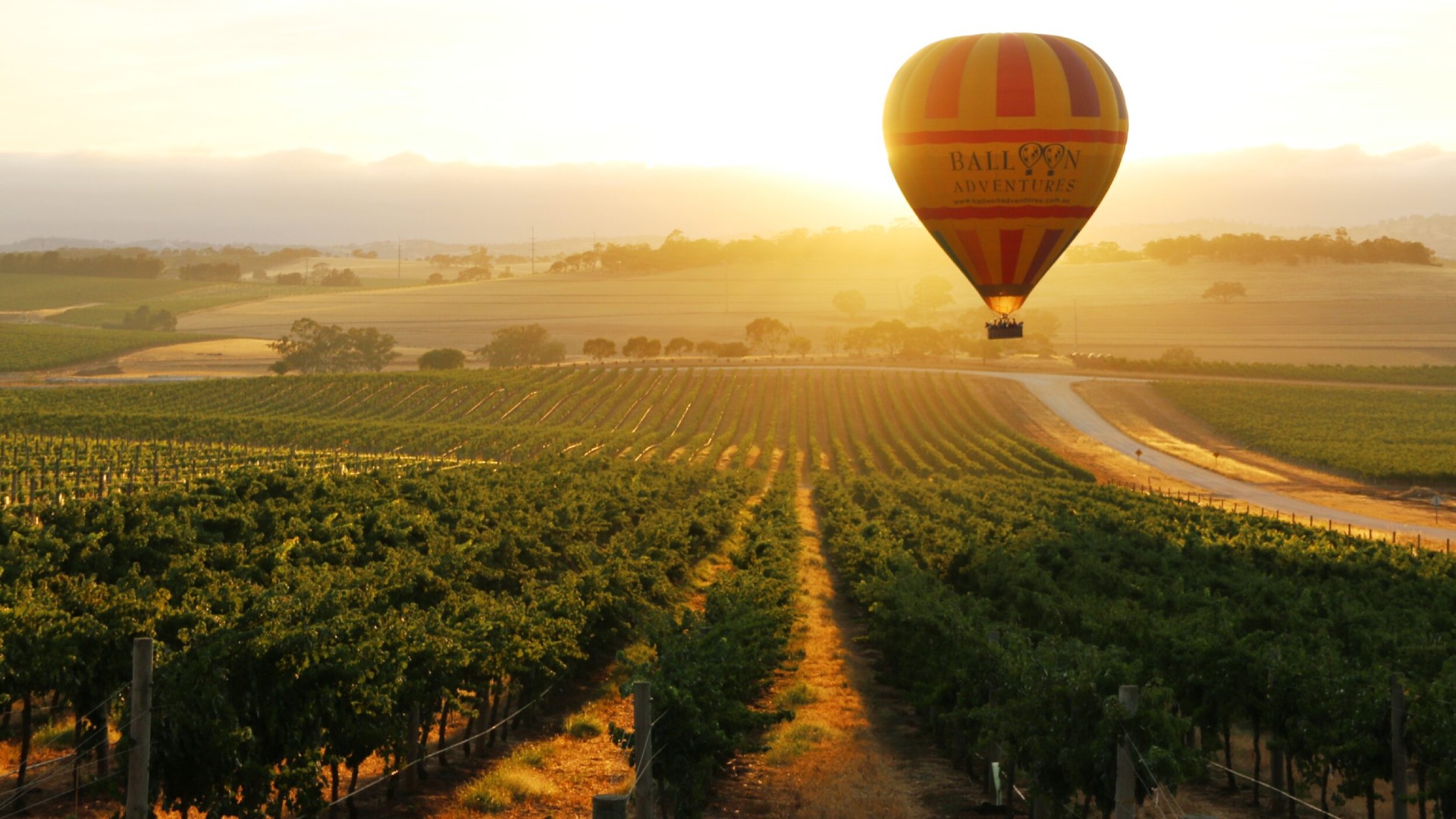 Float Away With Karma Curated