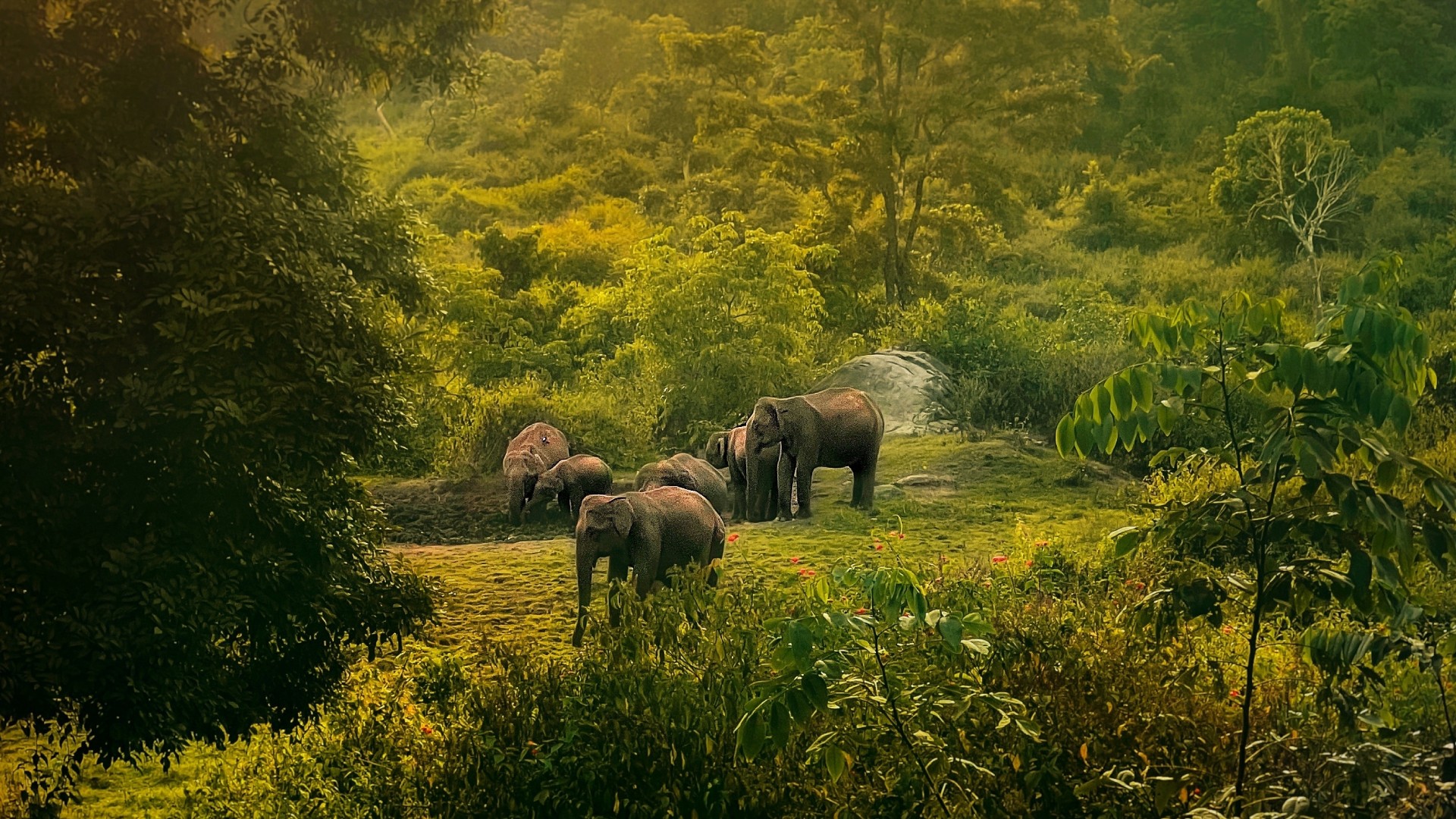 A Sublime New Sanctuary In Kerala’s Hill Country