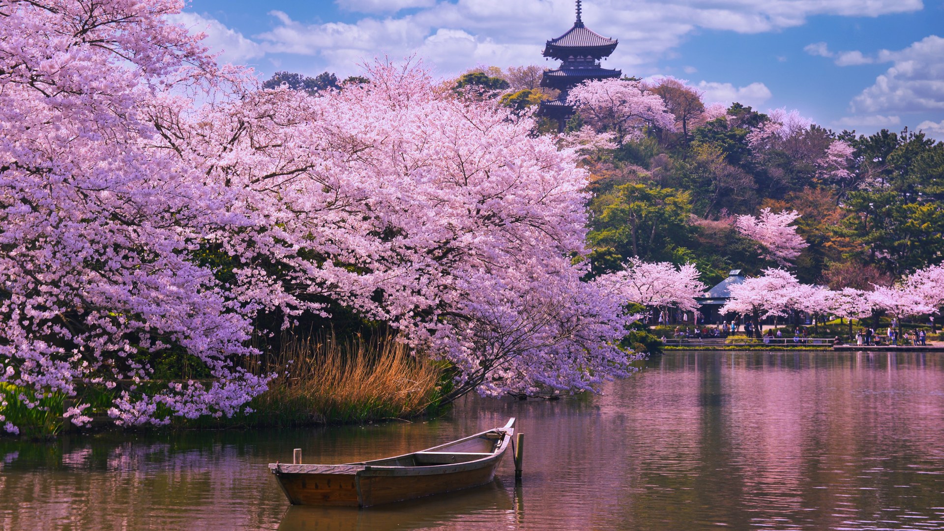 Circle These Dates: A Year in Global Spectacle