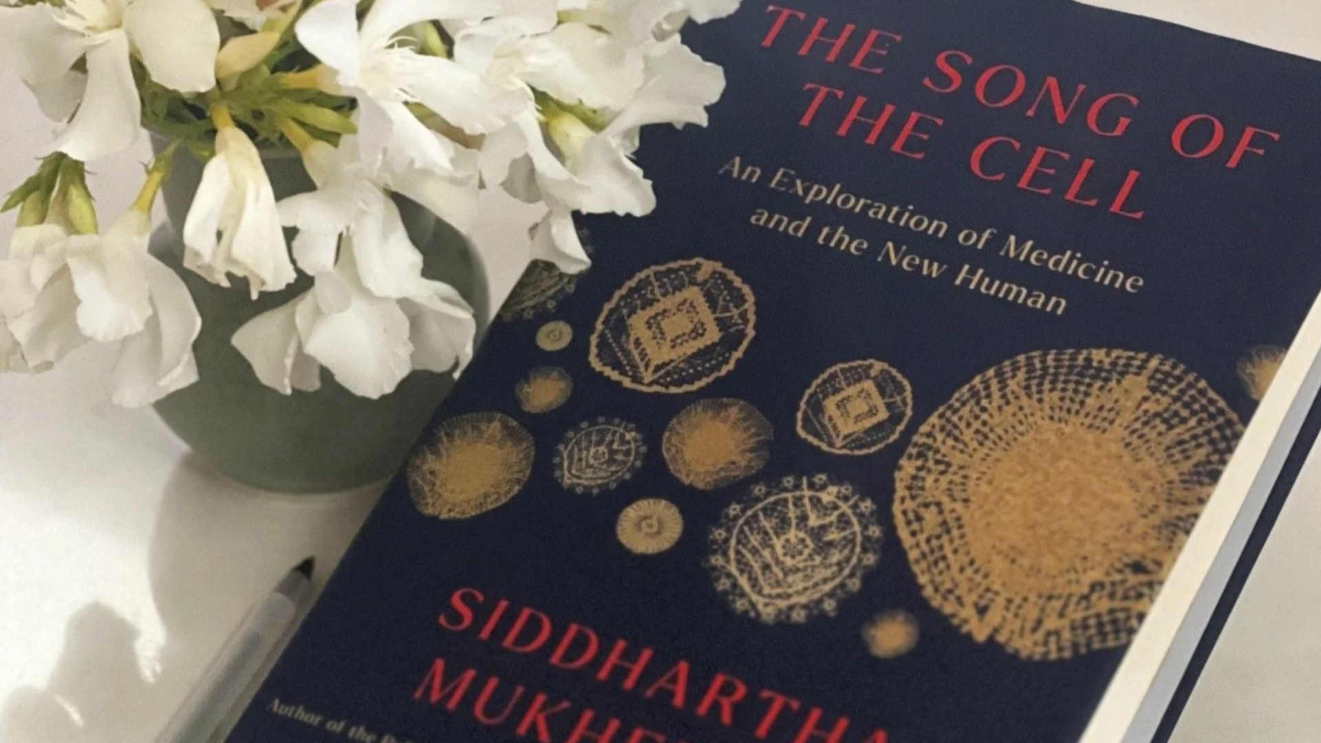 Worlds Of Wonder – Science Reads For 2026