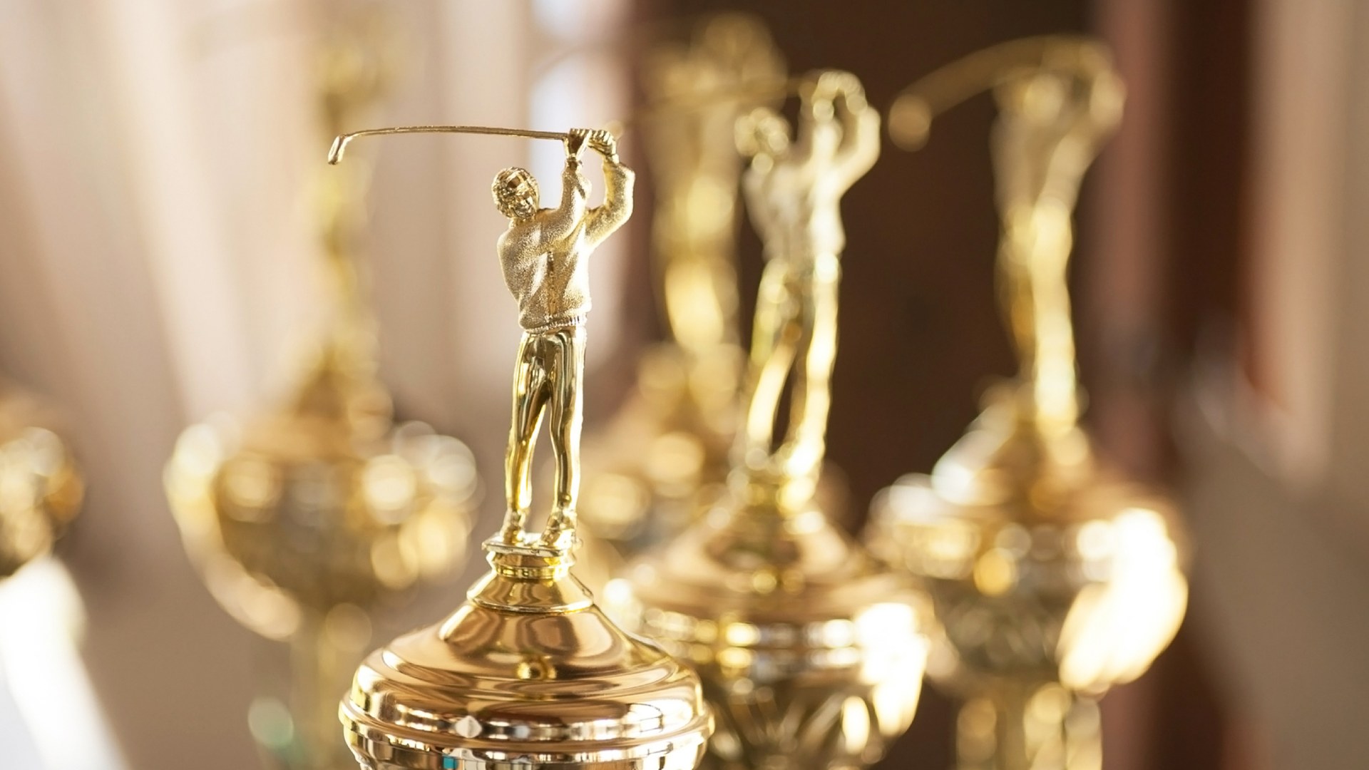 Courts, Pitches & Fairways