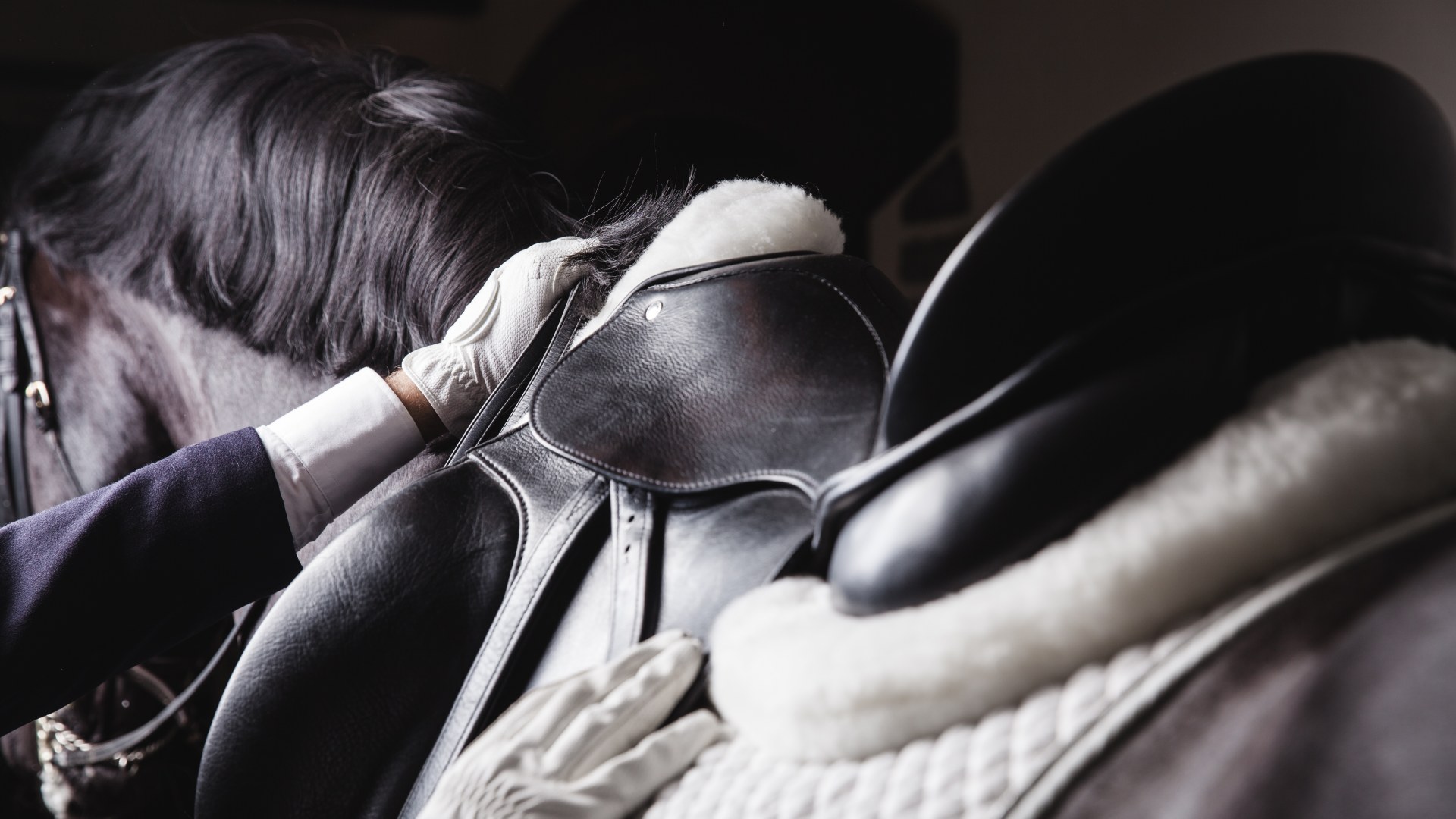 Catwalks and Horseplay