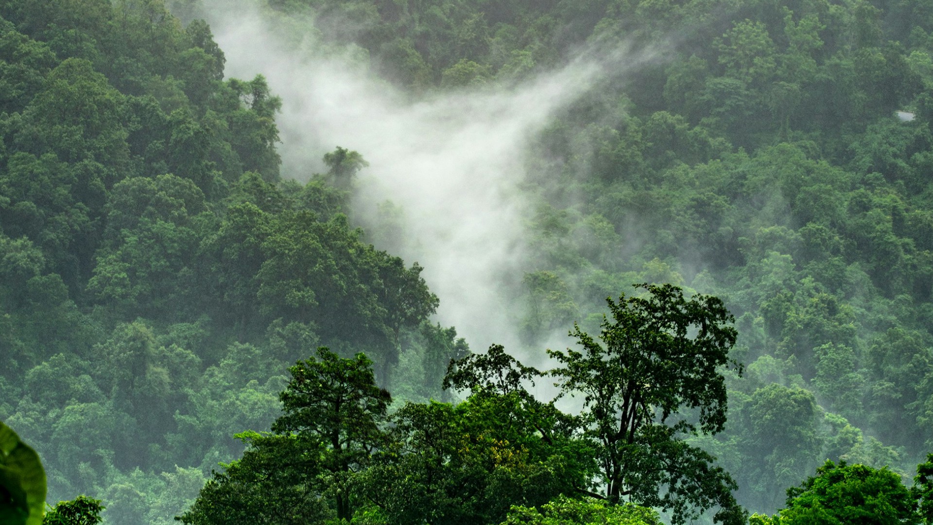Embrace The Rain: Indian Monsoon Escapes