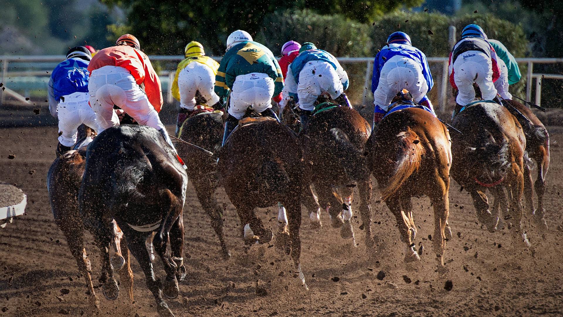 Horses for Courses