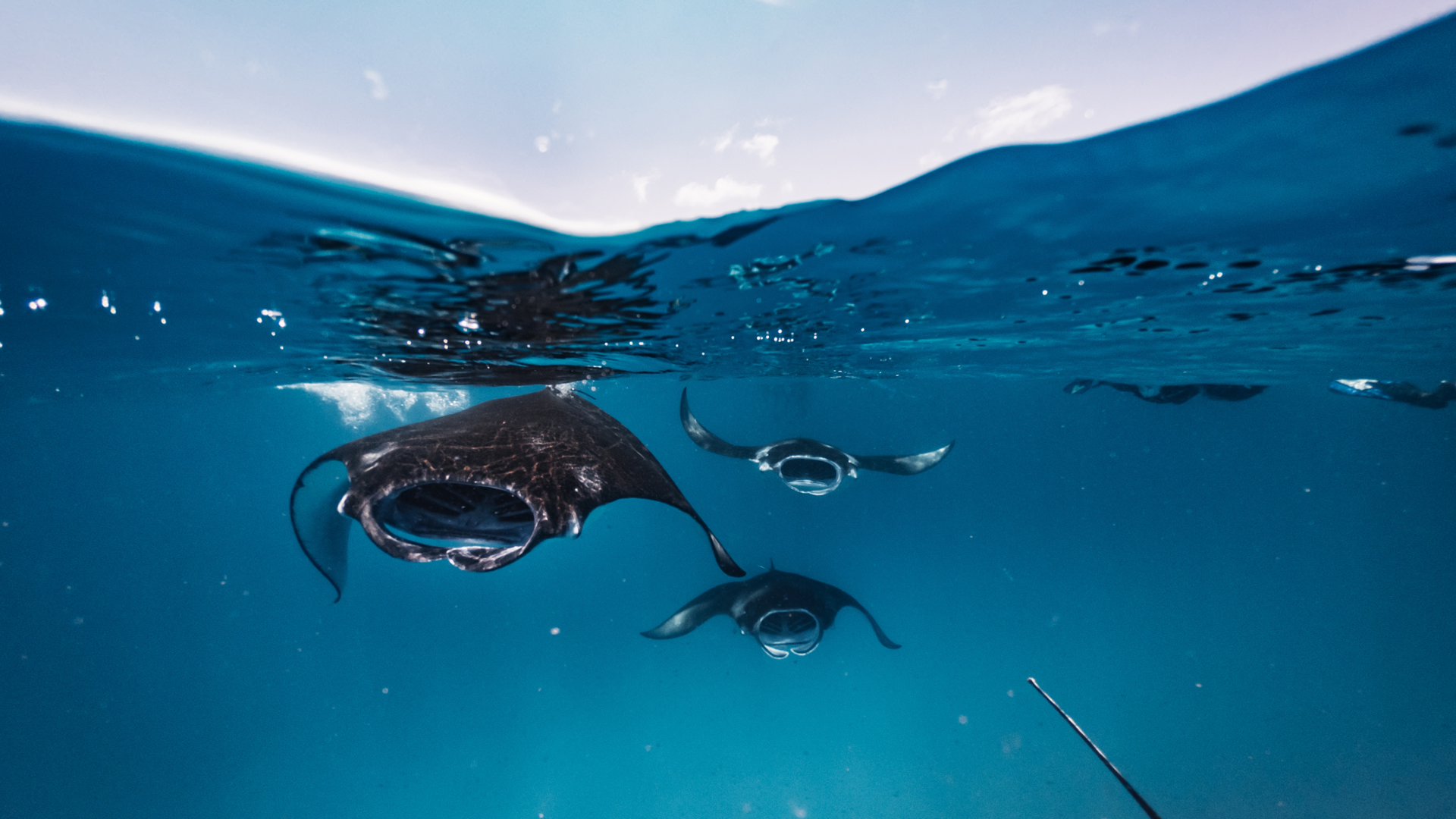 Voyages Of Discovery: Maldives Maritime Adventures
